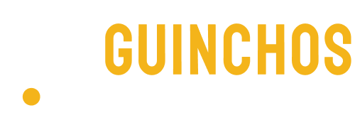 logo guinchos 24 horas
